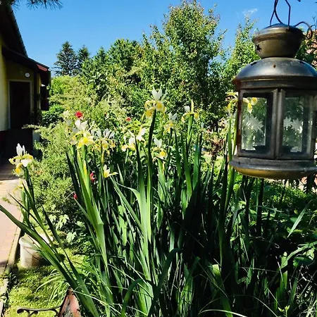 Retro * Balatonberény