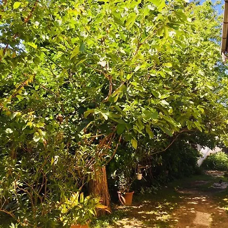 Retro Διαμέρισμα *