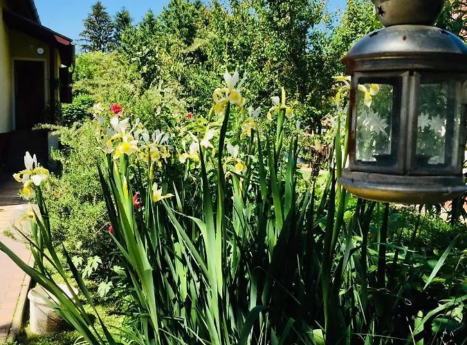 Retro * Balatonberény